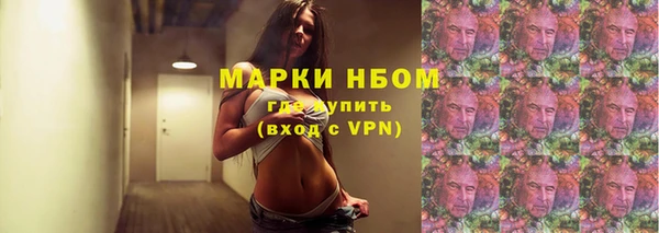 стаф Тавда