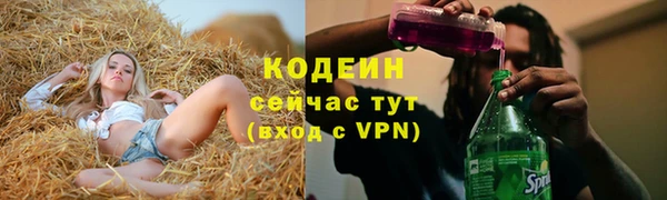 дмт Тайга