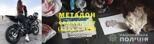 дмт Тайга