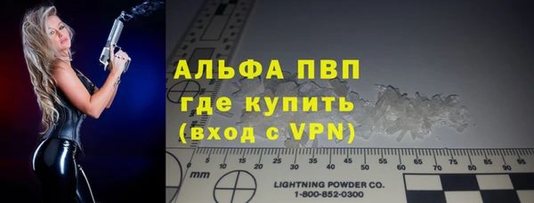 дмт Тайга