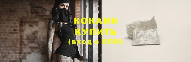 стафф Сясьстрой