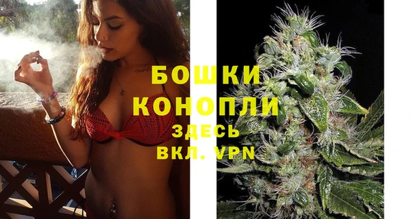 стаф Тавда