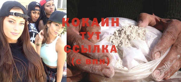 стафф Сясьстрой
