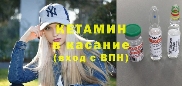 дмт Тайга