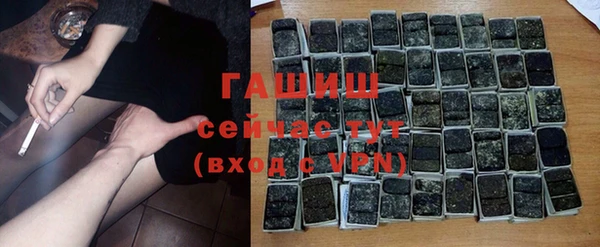 дмт Тайга