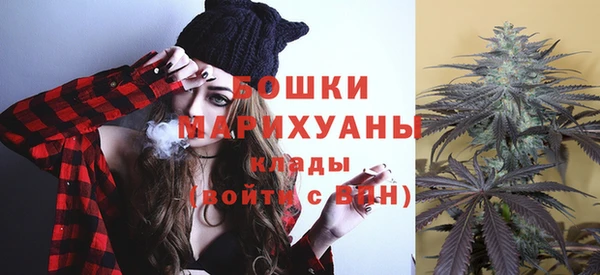 стаф Тавда