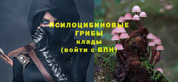 стафф Сясьстрой