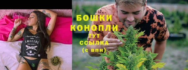 стаф Тавда