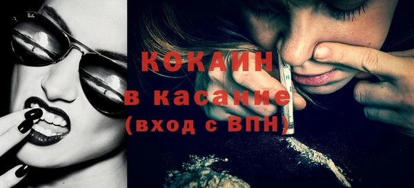 дмт Тайга