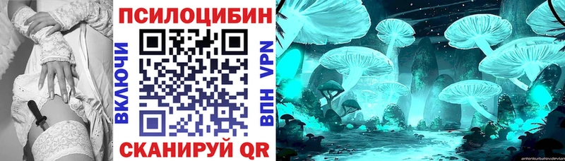 купить наркоту  Щёкино  Псилоцибиновые грибы ЛСД 